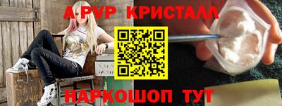 мяу мяу мука Кингисепп