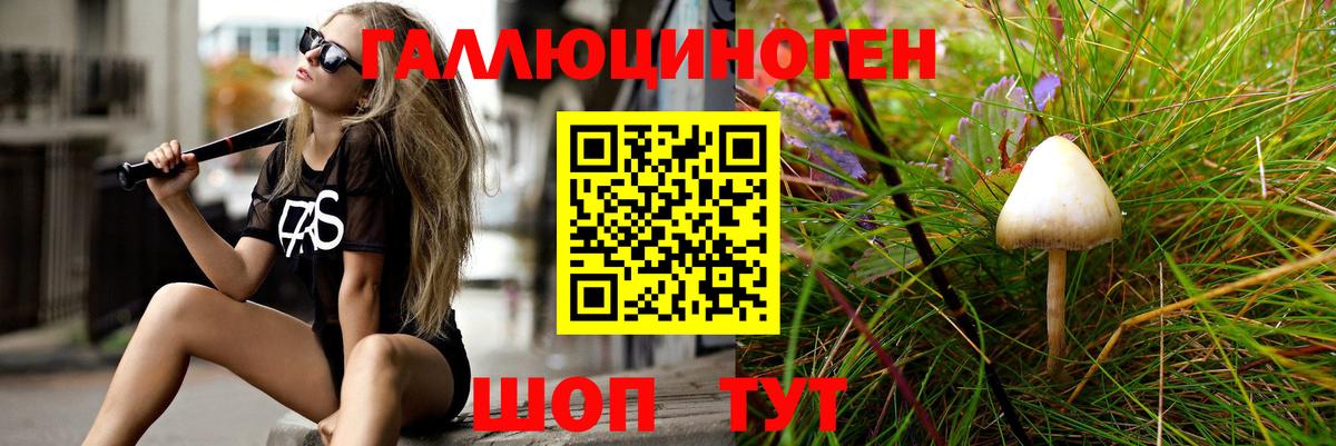 что такое наркотик  Вход с VPN  Краснознаменск  Галлюциногенные грибы Psilocybine cubensis  Галлюциногенные грибы мицелий 
